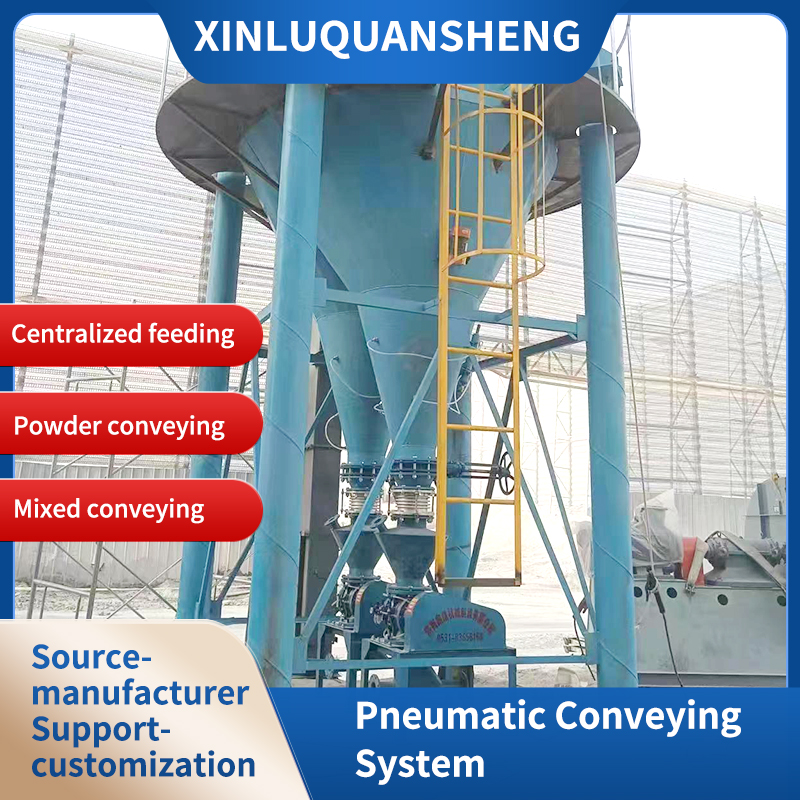 Pneumatic conveying system